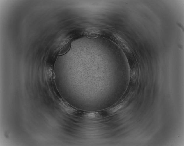 X0000091900382200709121503