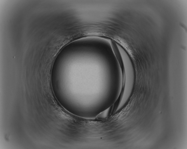 X0000091900385200709121503