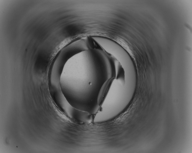 X0000091900389200709121503