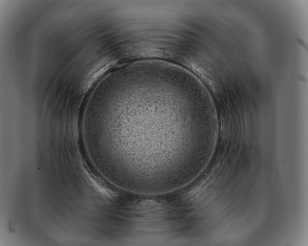 X0000091900390200709121502