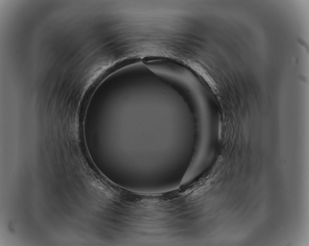 X0000091900391200709121502