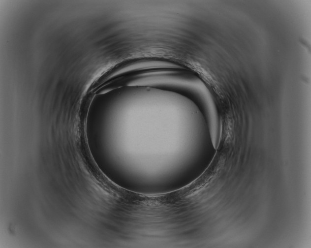 X0000091900392200709121502