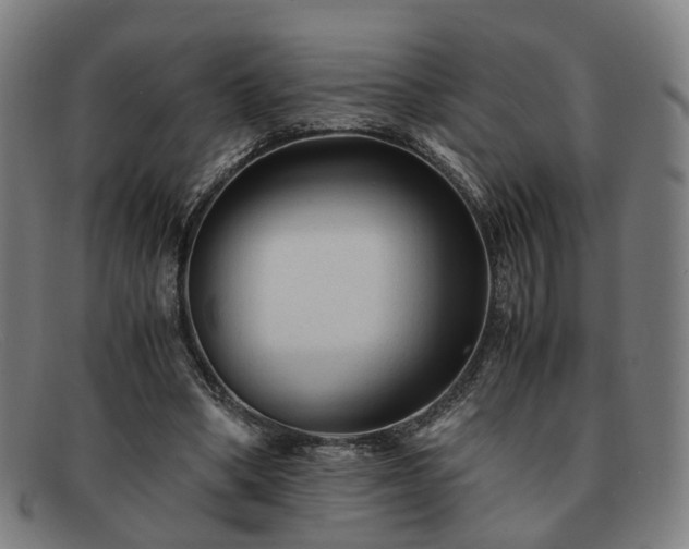 X0000091900394200709121502