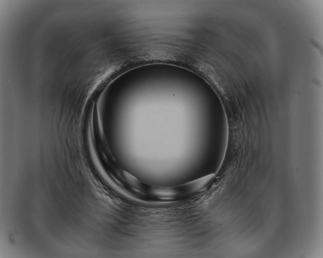 X0000091900395200709121502