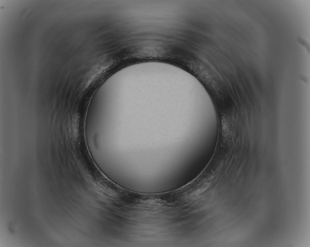 X0000091900396200709121502