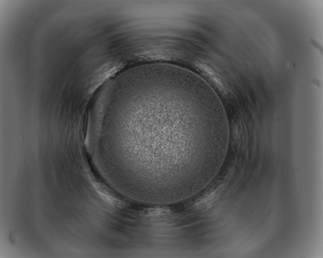 X0000091900398200709121502