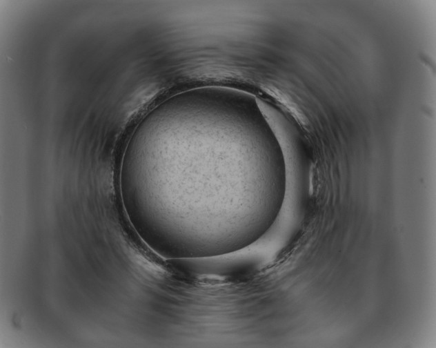 X0000091900399200709121502