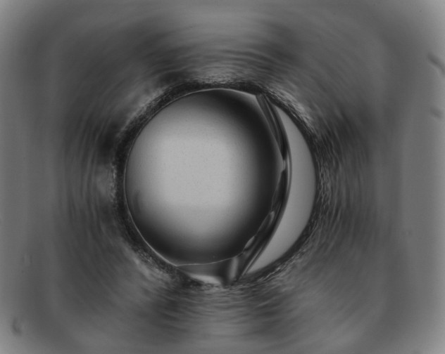 X0000091900400200709121502