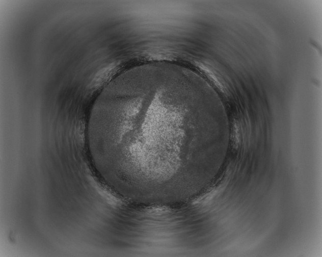 X0000091900402200709121502