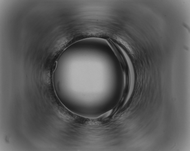 X0000091900403200709121502