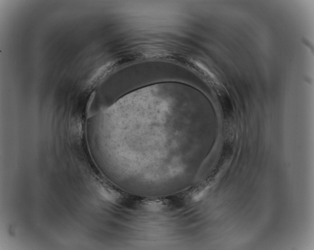 X0000091900405200709121502