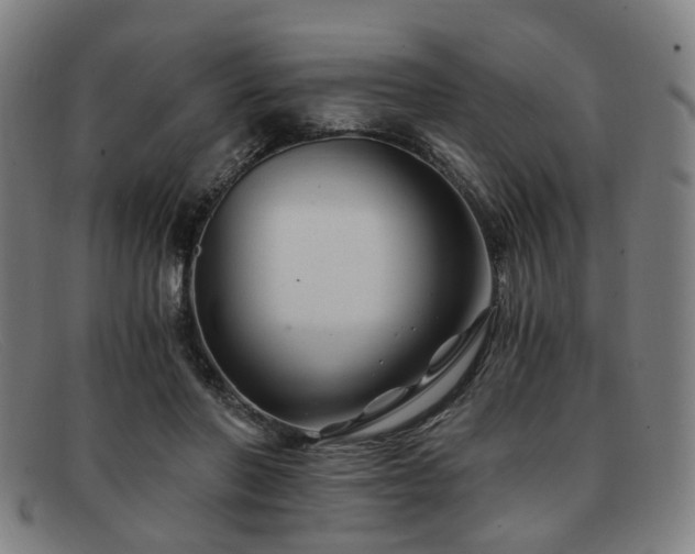 X0000091900406200709121502