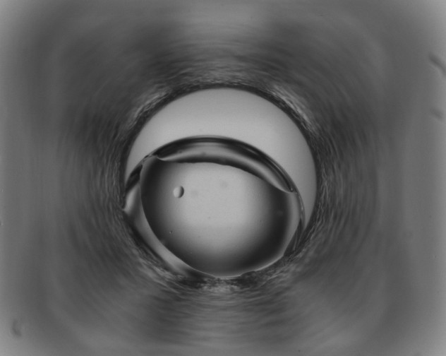 X0000091900407200709121502