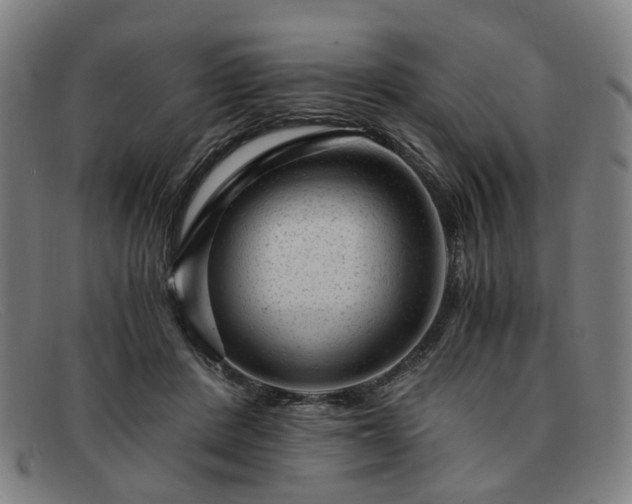 X0000091900408200709121502