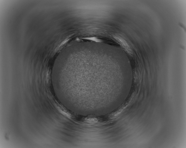 X0000091900409200709121502