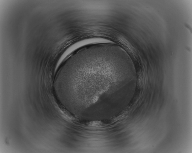 X0000091900410200709121502