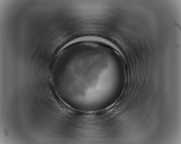 X0000091900411200709121502