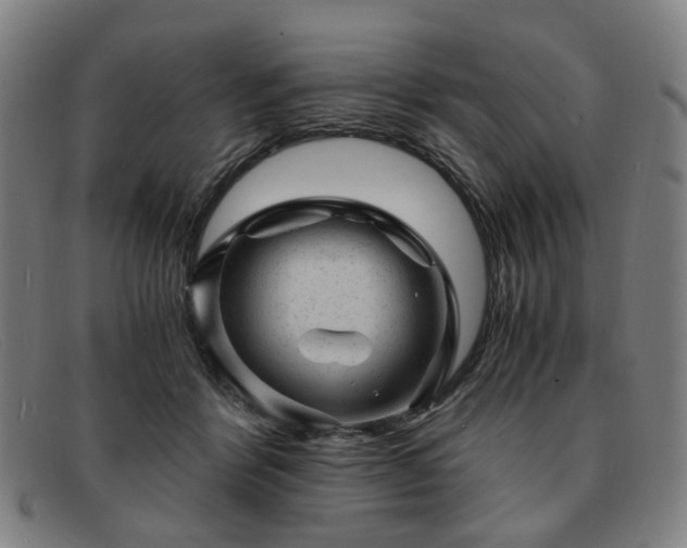 X0000091900412200709121502