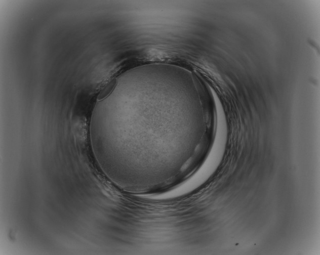 X0000091900413200709121502