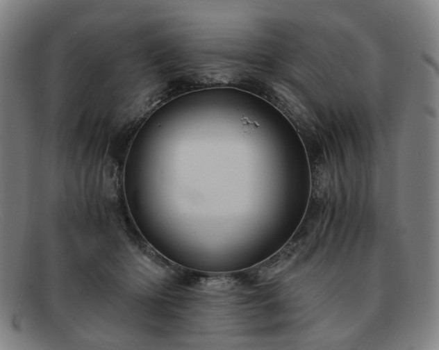 X0000091900414200709121502