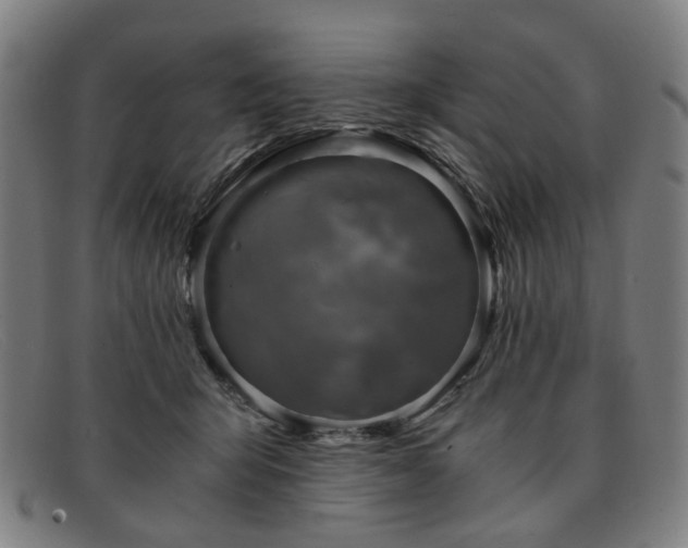 X0000091900415200709121502