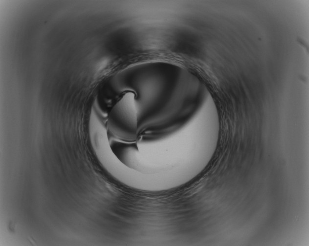 X0000091900416200709121502