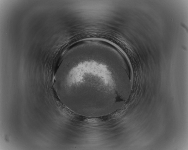 X0000091900417200709121502