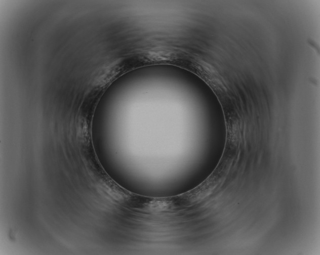 X0000091900418200709121502