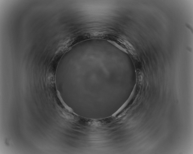 X0000091900419200709121502