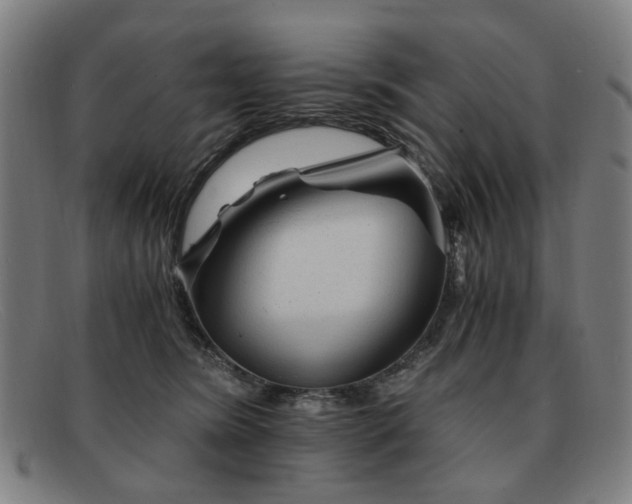 X0000091900420200709121502