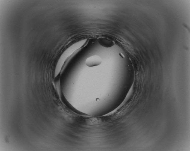 X0000091900421200709121502