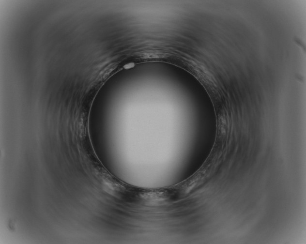 X0000091900422200709121502