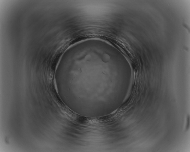 X0000091900423200709121502