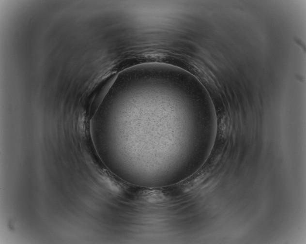 X0000091900424200709121502