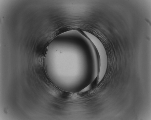 X0000091900425200709121502