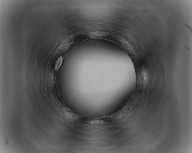 X0000091900426200709121502