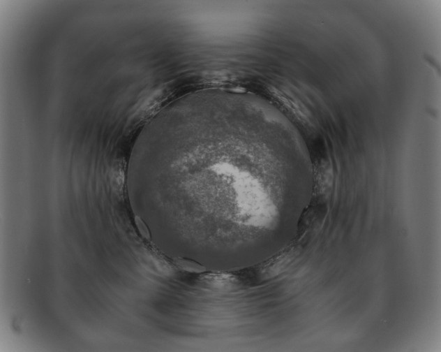 X0000091900427200709121502