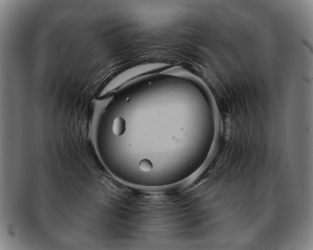 X0000091900428200709121502