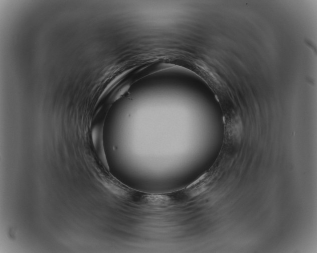 X0000091900429200709121502