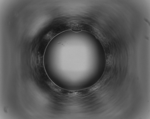 X0000091900430200709121502