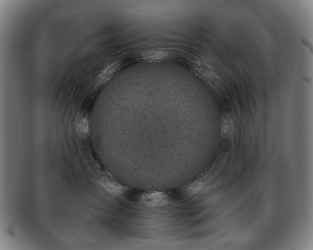 X0000091900431200709121502