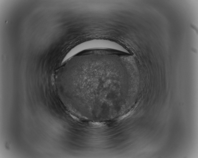 X0000091900432200709121502