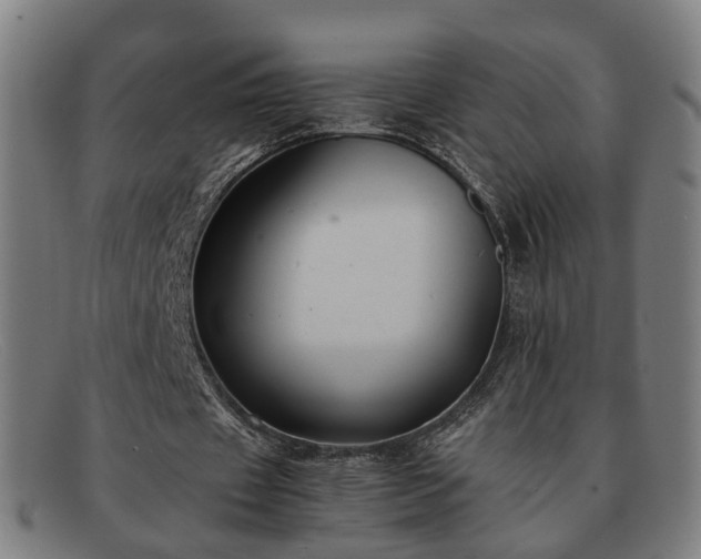 X0000091900433200709121501