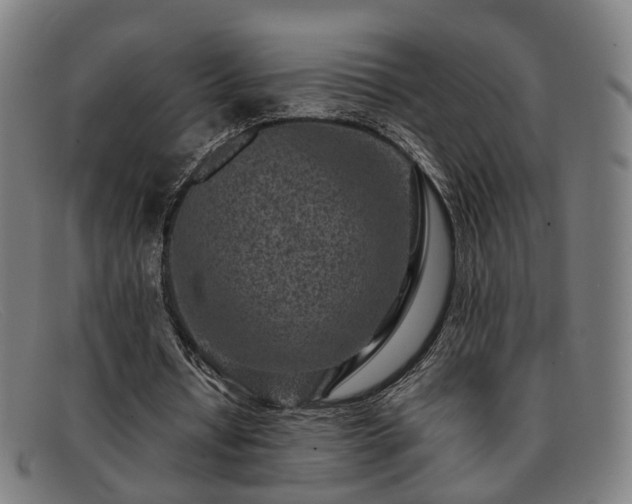 X0000091900434200709121501