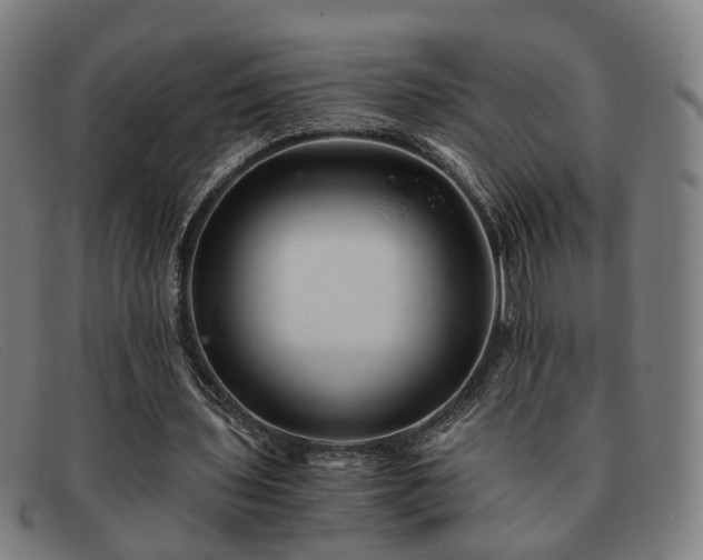 X0000091900435200709121501