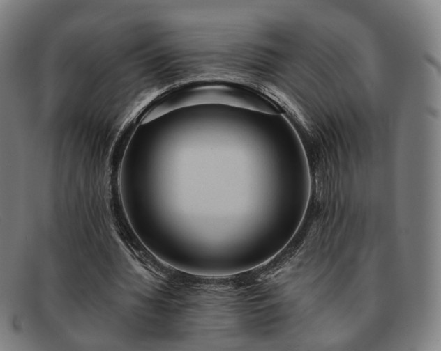 X0000091900436200709121501