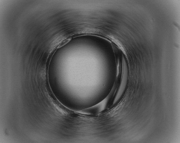 X0000091900437200709121501