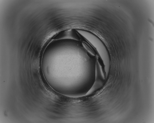 X0000091900438200709121501