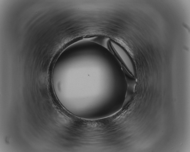 X0000091900439200709121501