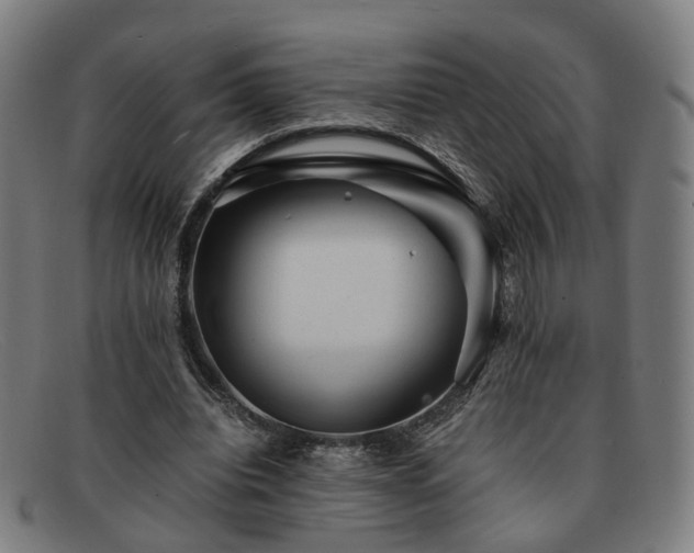 X0000091900440200709121502